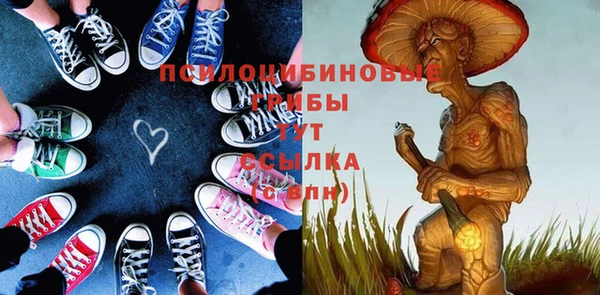прущие грибы Арсеньев