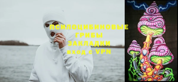 прущие грибы Арсеньев