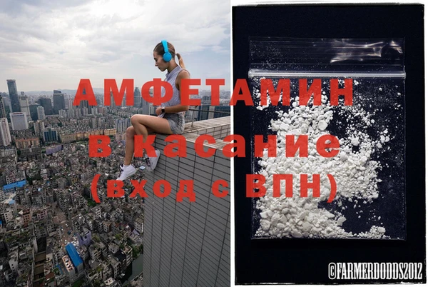прущие грибы Арсеньев