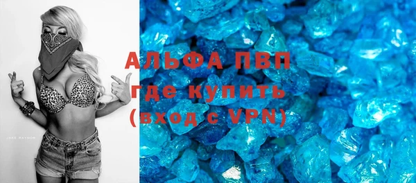 гашик Аркадак