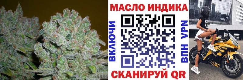 закладки  Сальск  ТГК концентрат 